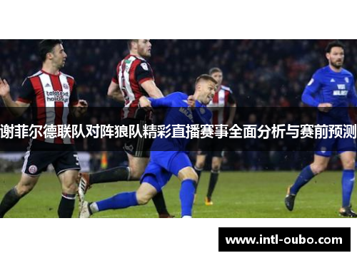 谢菲尔德联队对阵狼队精彩直播赛事全面分析与赛前预测