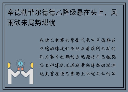辛德勒菲尔德德乙降级悬在头上，风雨欲来局势堪忧